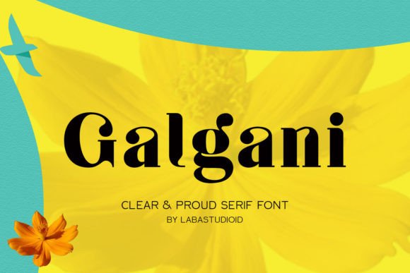 Discovering Galgani: A Serif Font for Unique Branding Projects