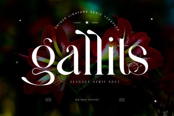 Gallits: A Serif Font That Elevates Your Campaigns