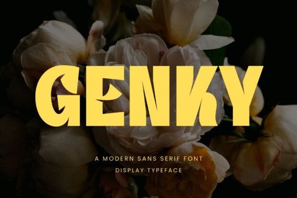 Genky: A Playful Sans Serif Font for Editorial Design