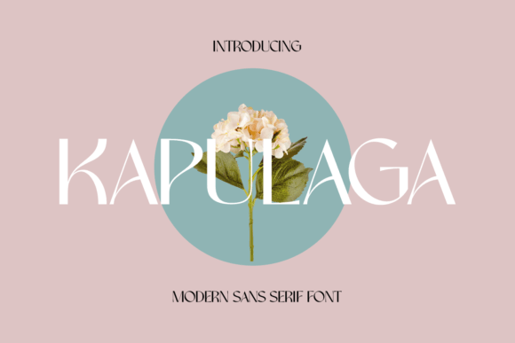 Kapulaga: A Modern Sans Serif Font for Web Design