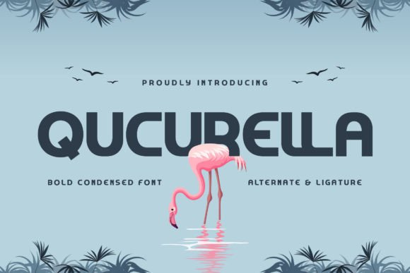 Qucurella: A Bold Sans Serif Font for Web Design